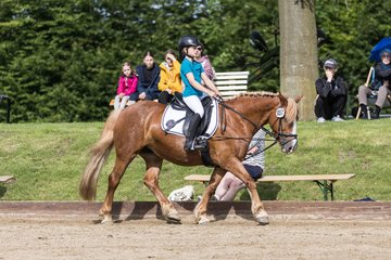 Bild 71 - Pony Akademie Turnier